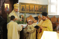 بالصور: الطائفة المسيحية بمدينة يافا تحتفل بعيد أحد الشعانين 